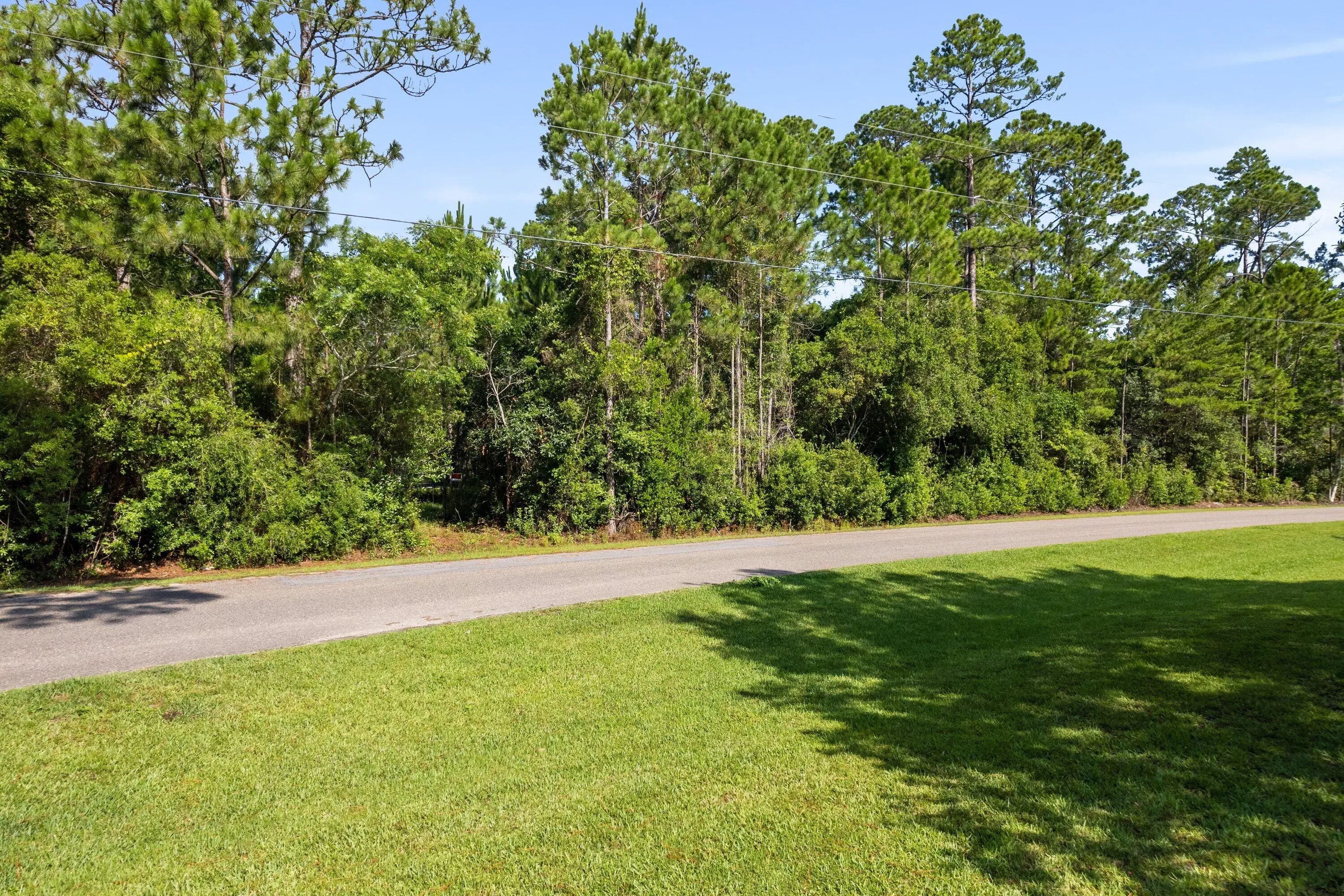 Photo of Listing #1003911