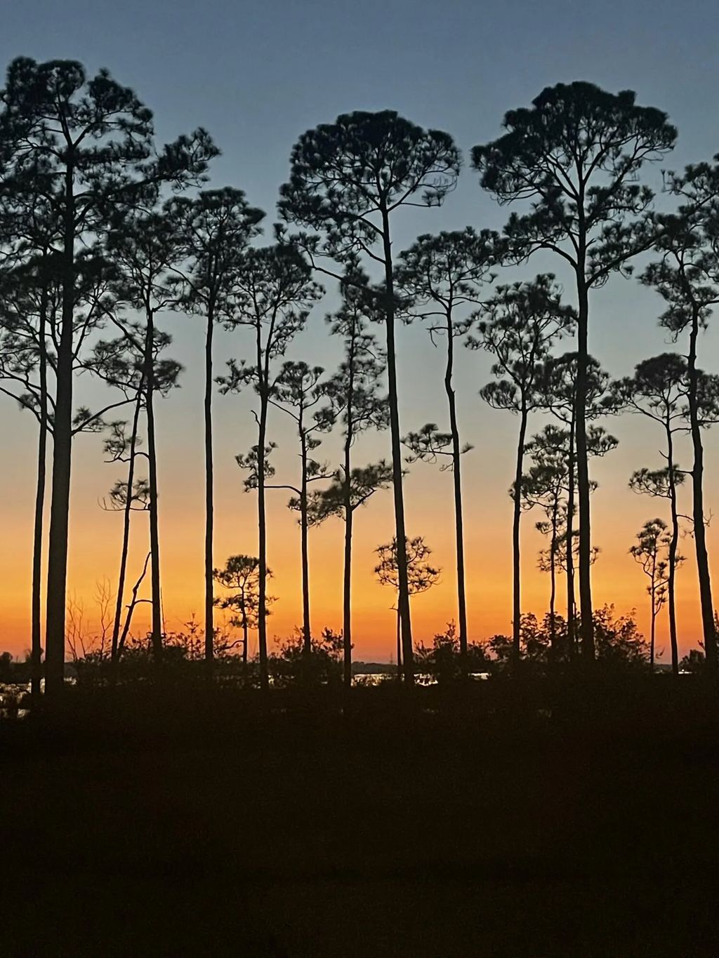 34 of 76 - 229 Mallard Lane, Santa Rosa Beach, FL
