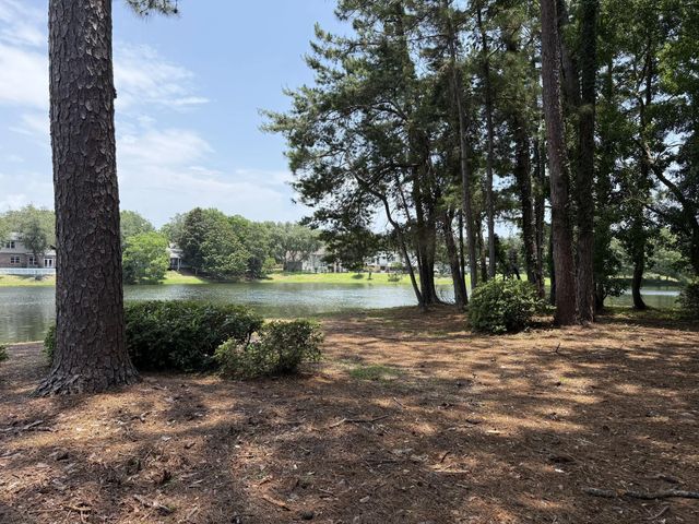 Photo of Listing #1006260