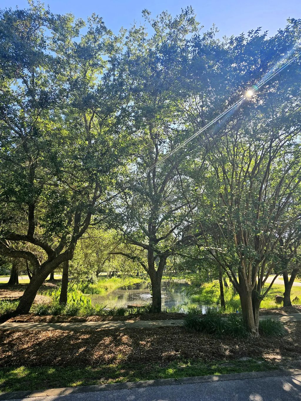 3 of 7 - 1514 Sweetbay Trail, Panama City Beach, FL