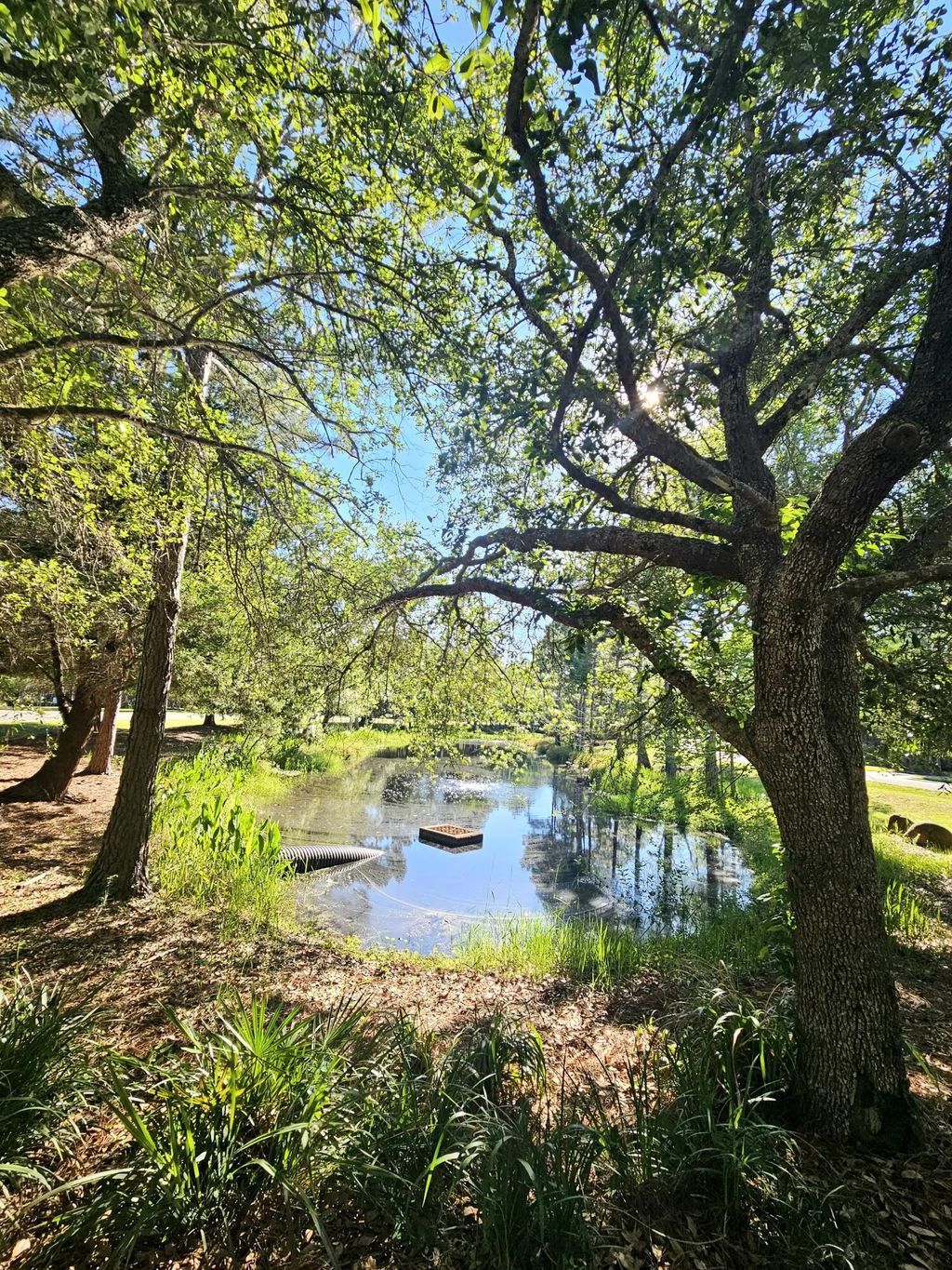 4 of 7 - 1514 Sweetbay Trail, Panama City Beach, FL