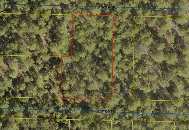 Photo of Listing #1004597