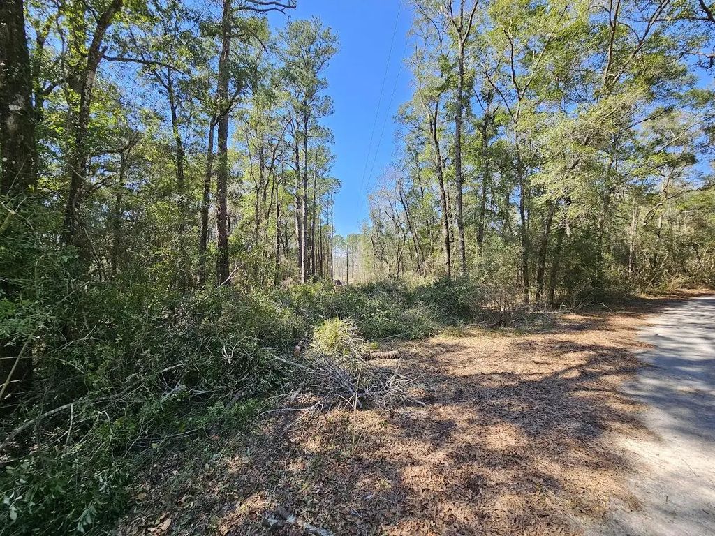 6 of 8 - 830 Four Mile Road, Freeport, FL