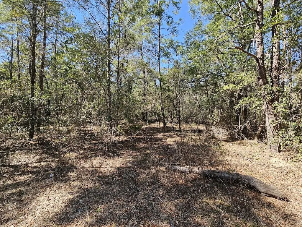 8 of 8 - 830 Four Mile Road, Freeport, FL