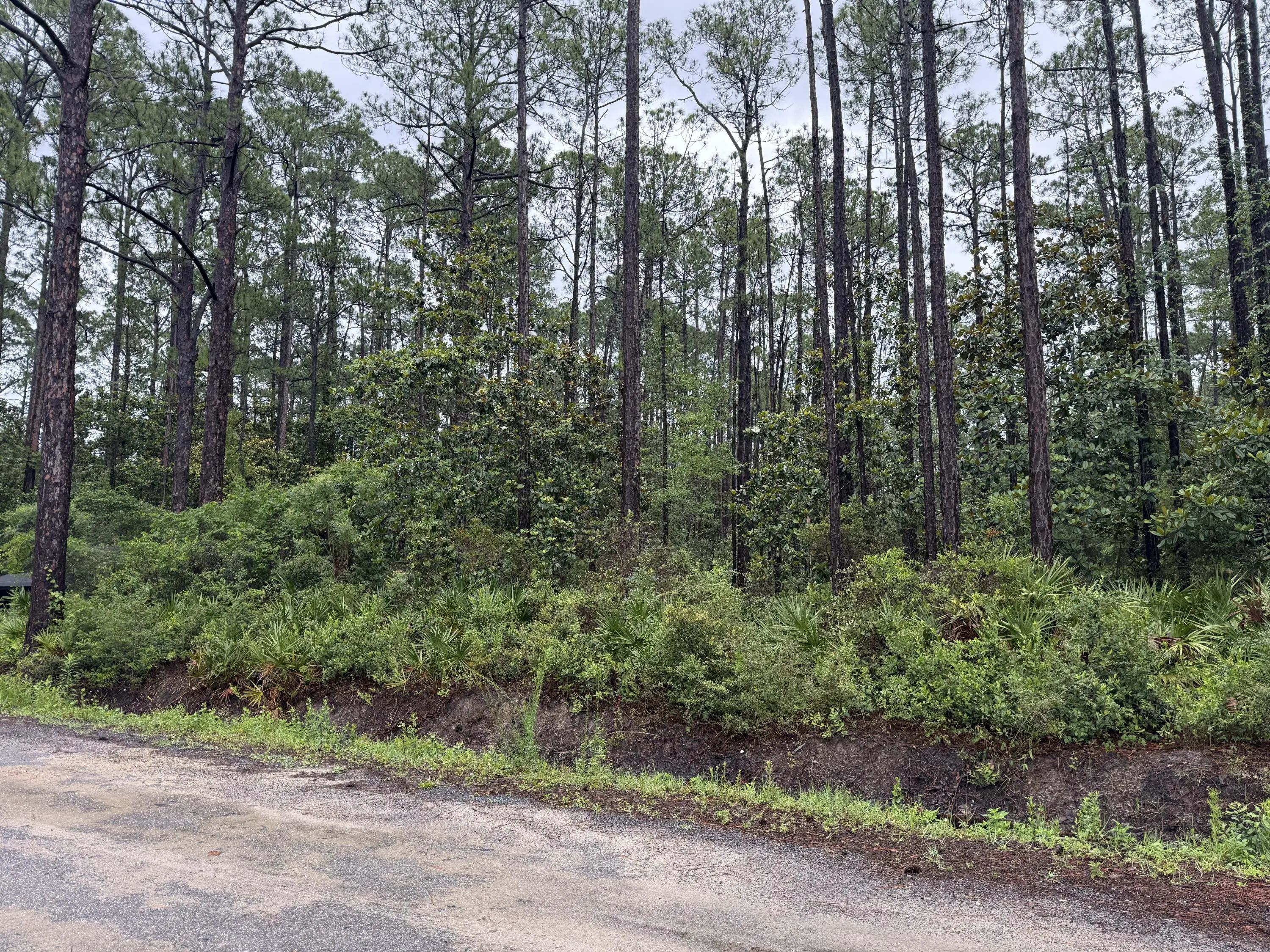 Photo of Listing #1004635