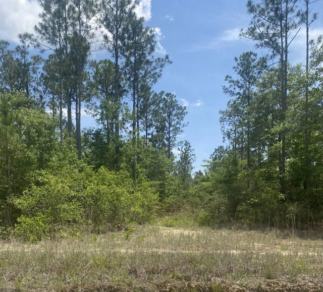 Photo of Listing #1005281