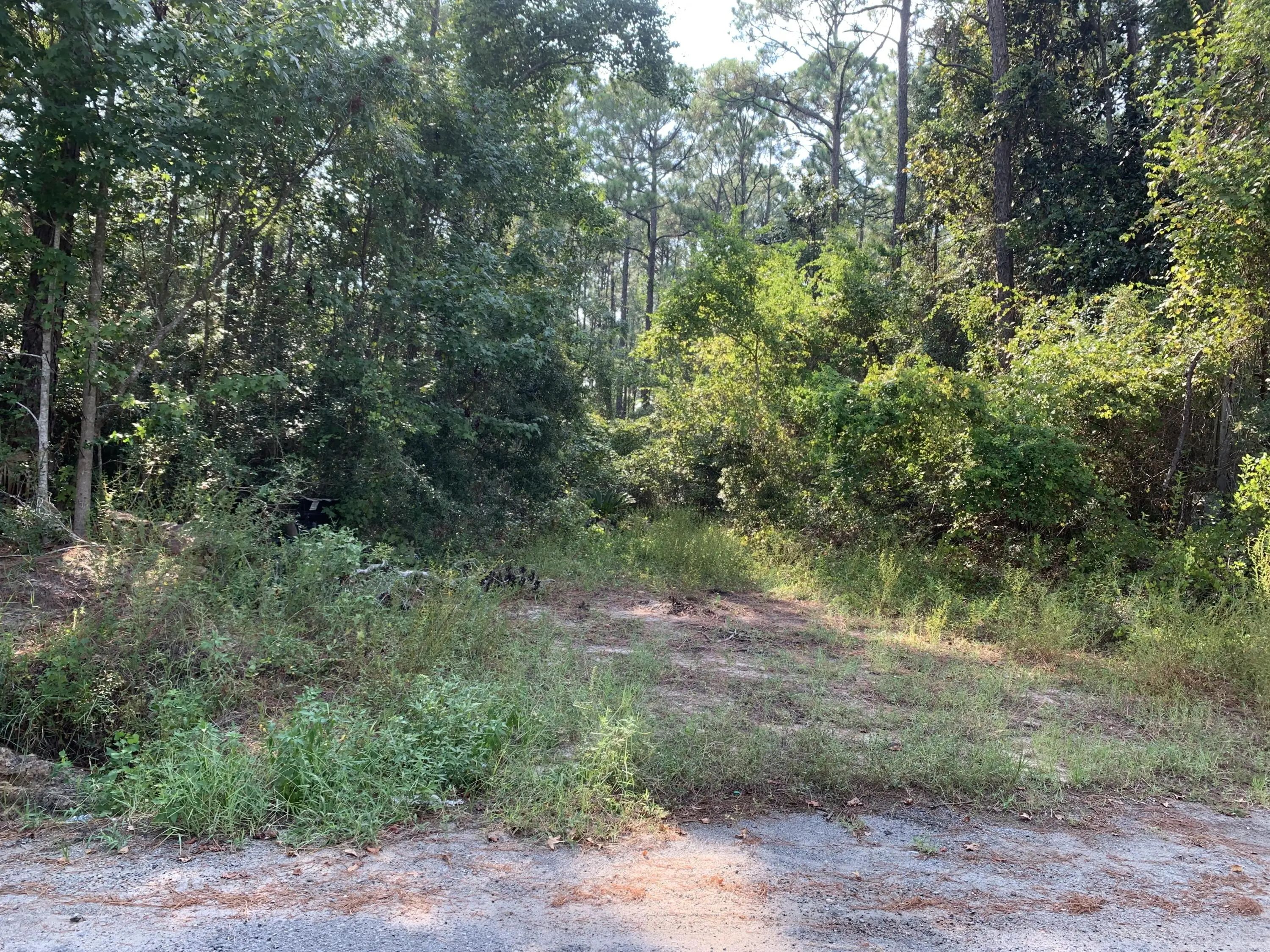 Photo of Listing #1005499