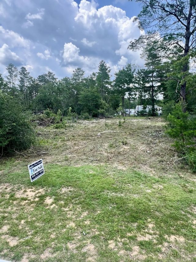 Photo of Listing #1006684