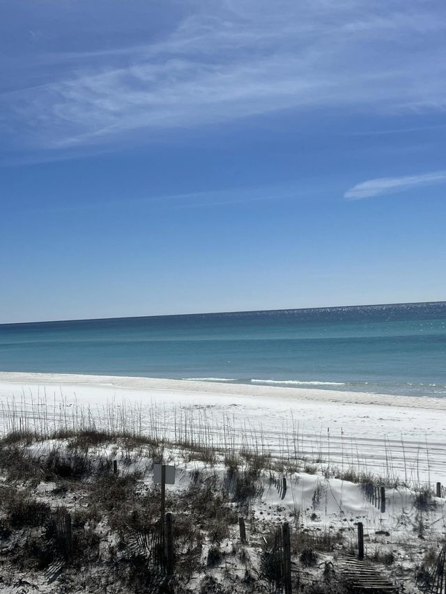Photo of Listing #1006952