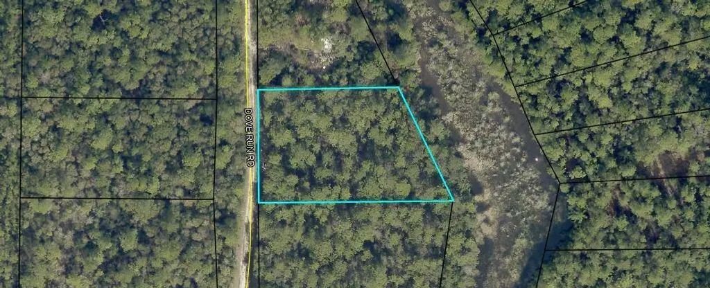.99ac Dove Run Road, Holt