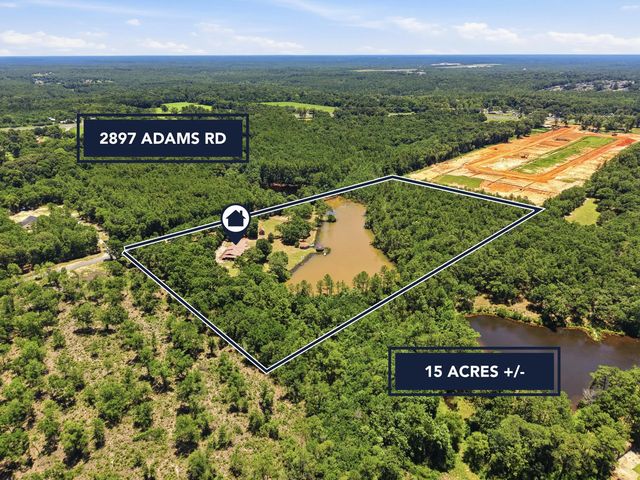 Photo of Listing #1006434