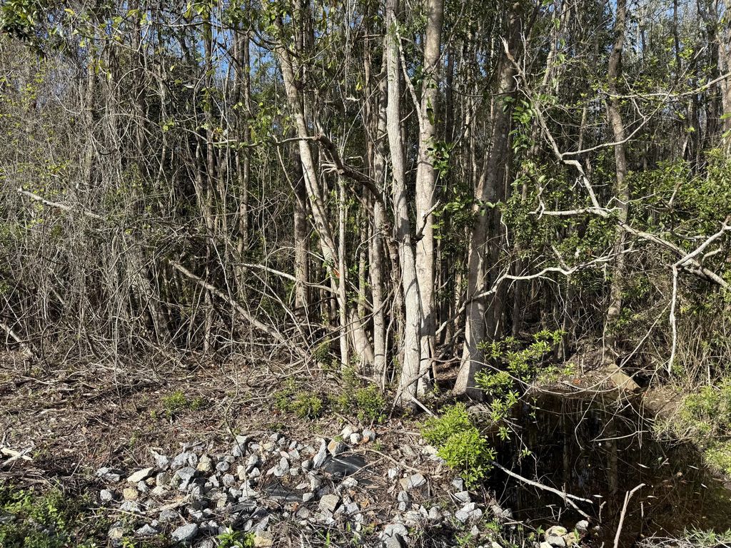 10 of 25 - Lot 8 Marsh Avenue, Freeport, FL