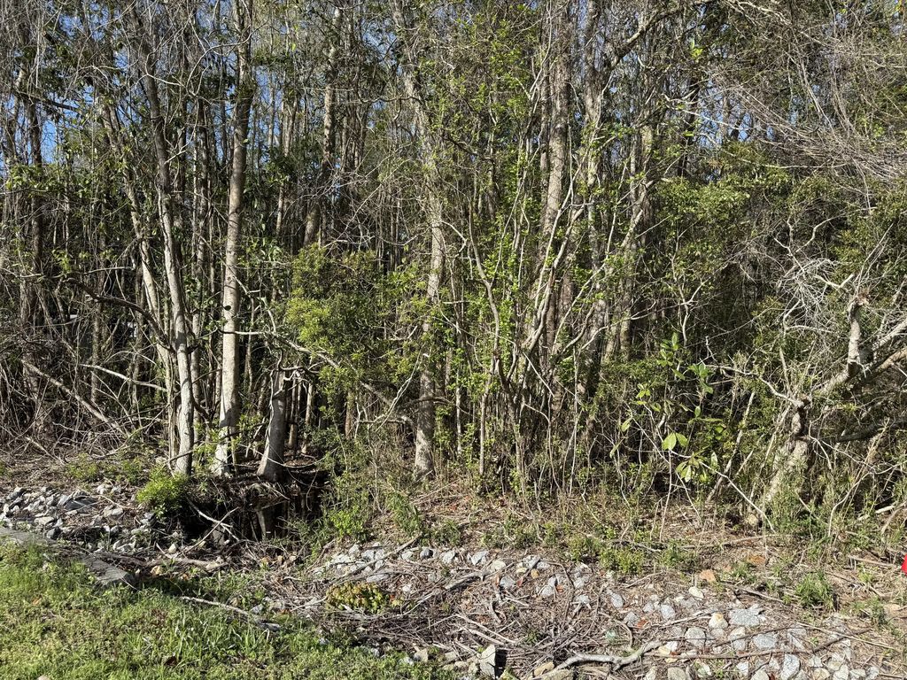 11 of 25 - Lot 8 Marsh Avenue, Freeport, FL