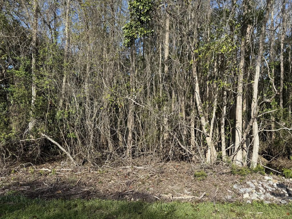 15 of 25 - Lot 8 Marsh Avenue, Freeport, FL