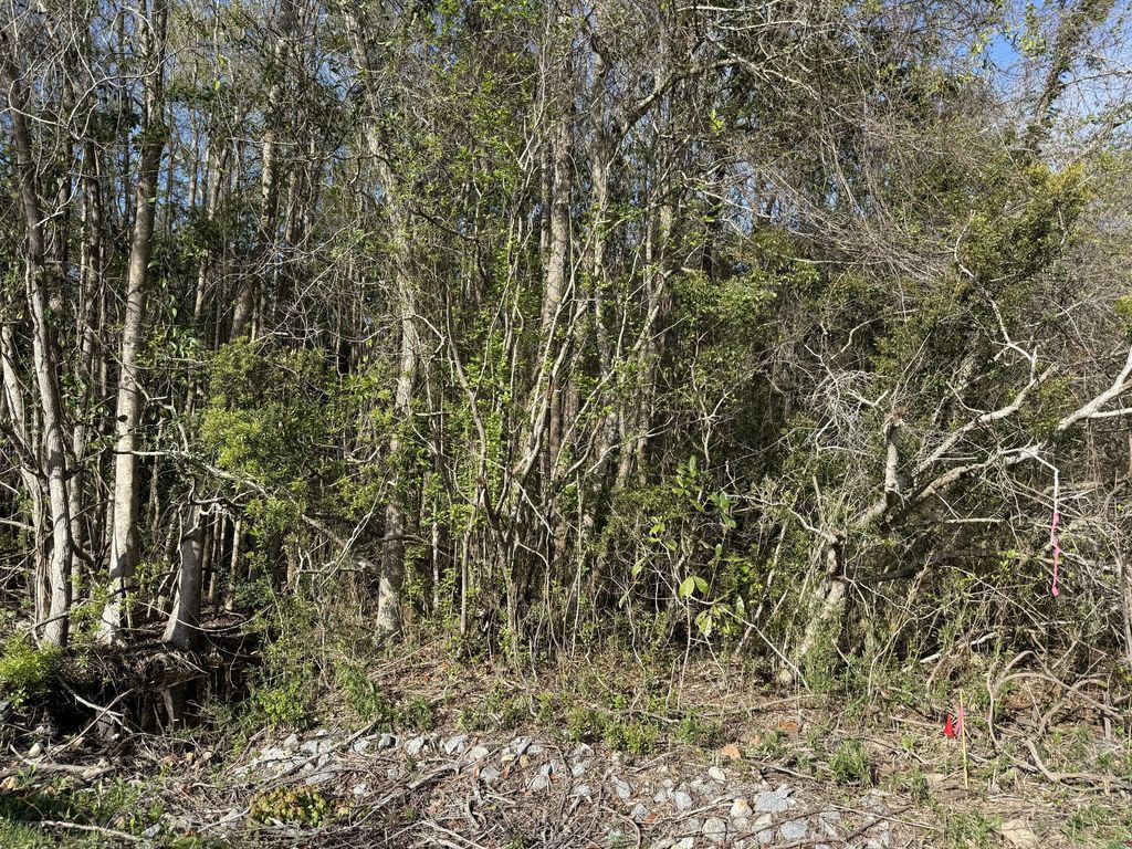 23 of 25 - Lot 8 Marsh Avenue, Freeport, FL