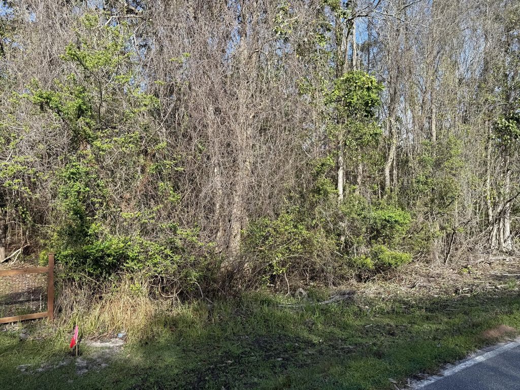 6 of 25 - Lot 8 Marsh Avenue, Freeport, FL
