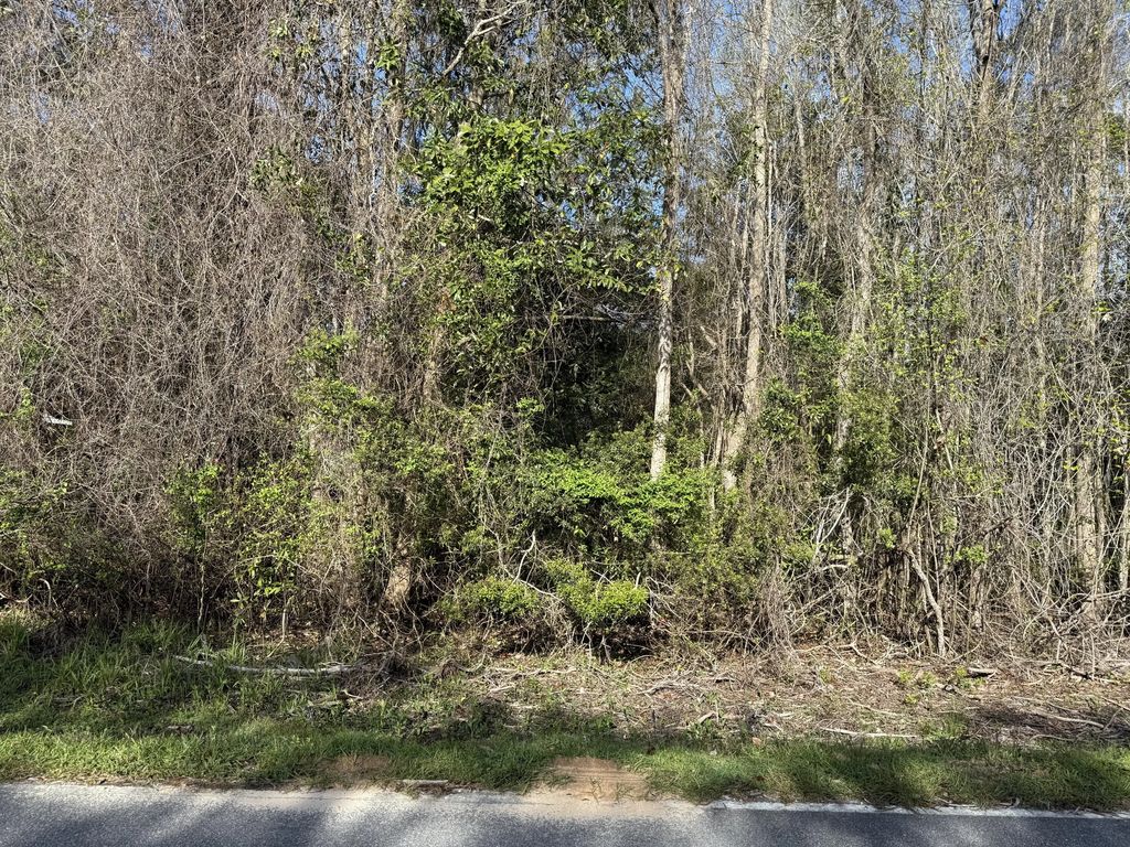 7 of 25 - Lot 8 Marsh Avenue, Freeport, FL