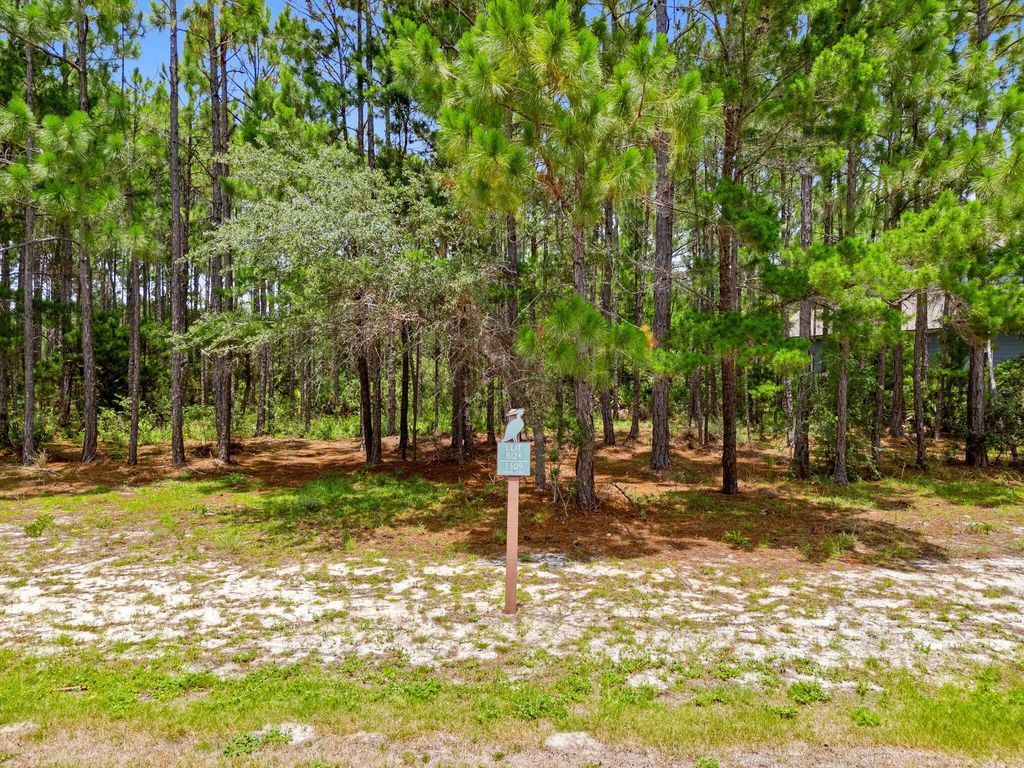 3 of 51 - 1509 Sweetbay Trail, Panama City Beach, FL