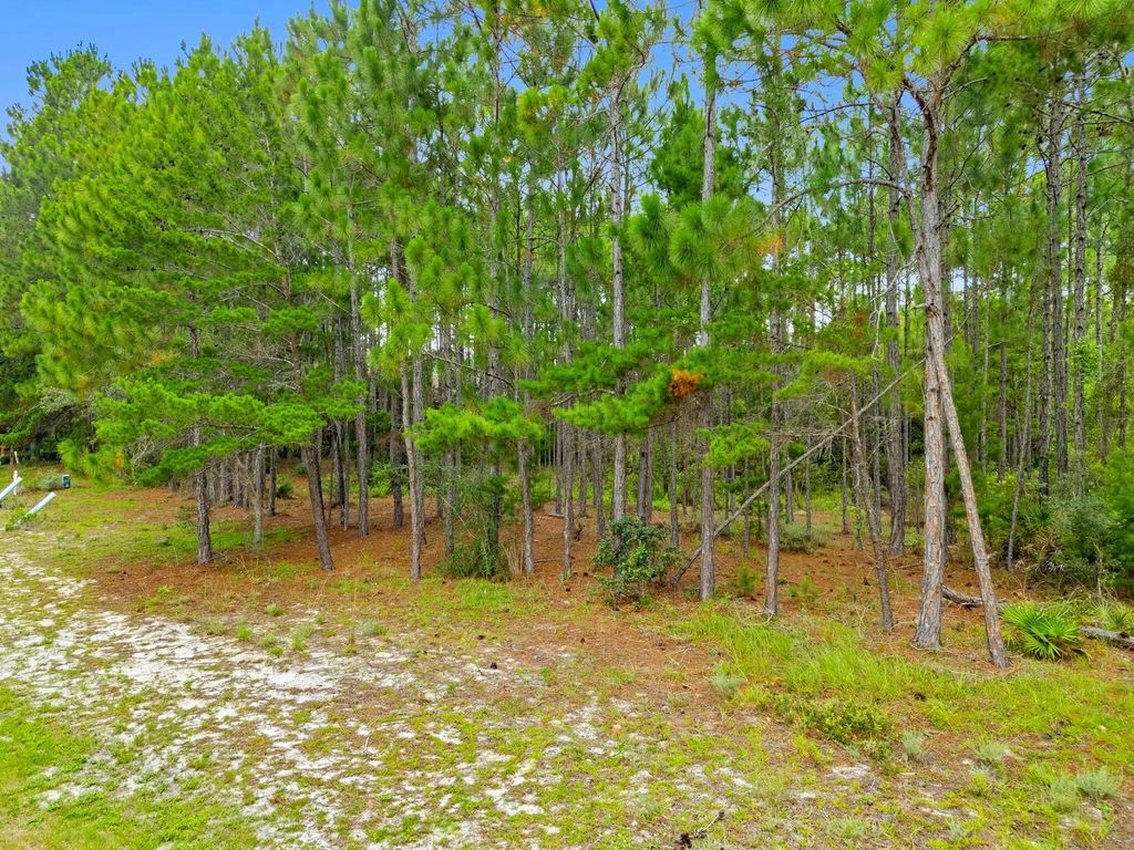 4 of 51 - 1509 Sweetbay Trail, Panama City Beach, FL