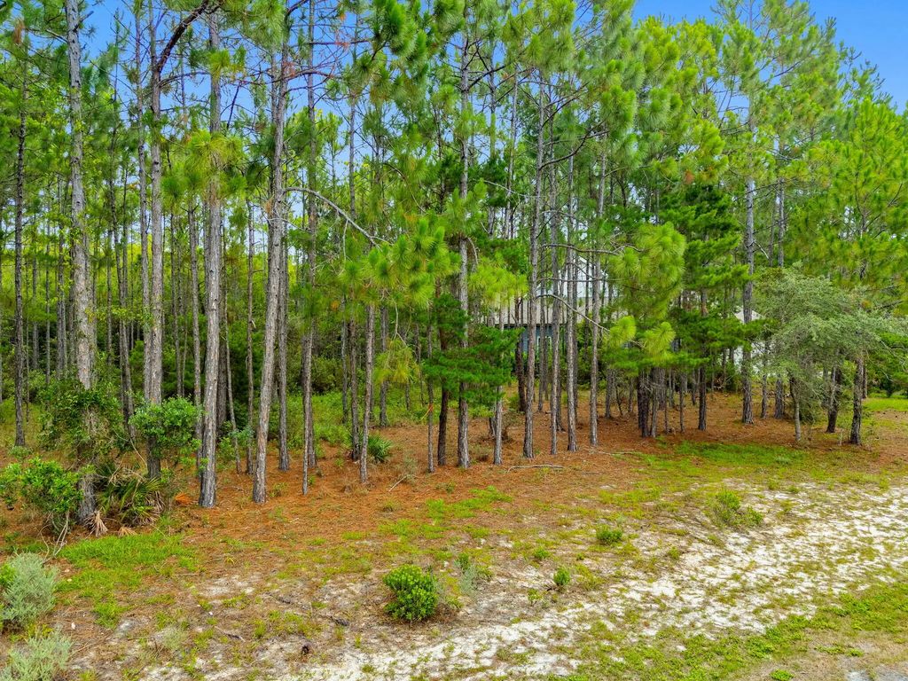 5 of 51 - 1509 Sweetbay Trail, Panama City Beach, FL