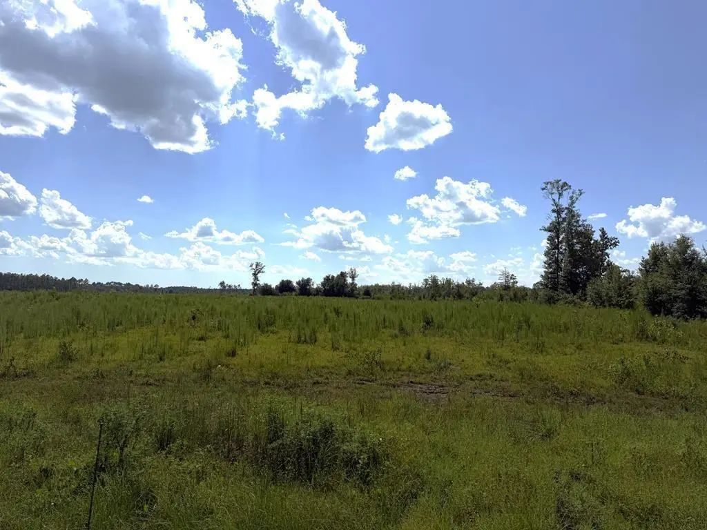 Lot 2 Hwy 71 S, Wewahitchka