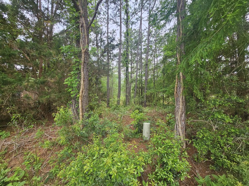 3 of 7 - Lot #2 Dolphin Cove, Freeport, FL