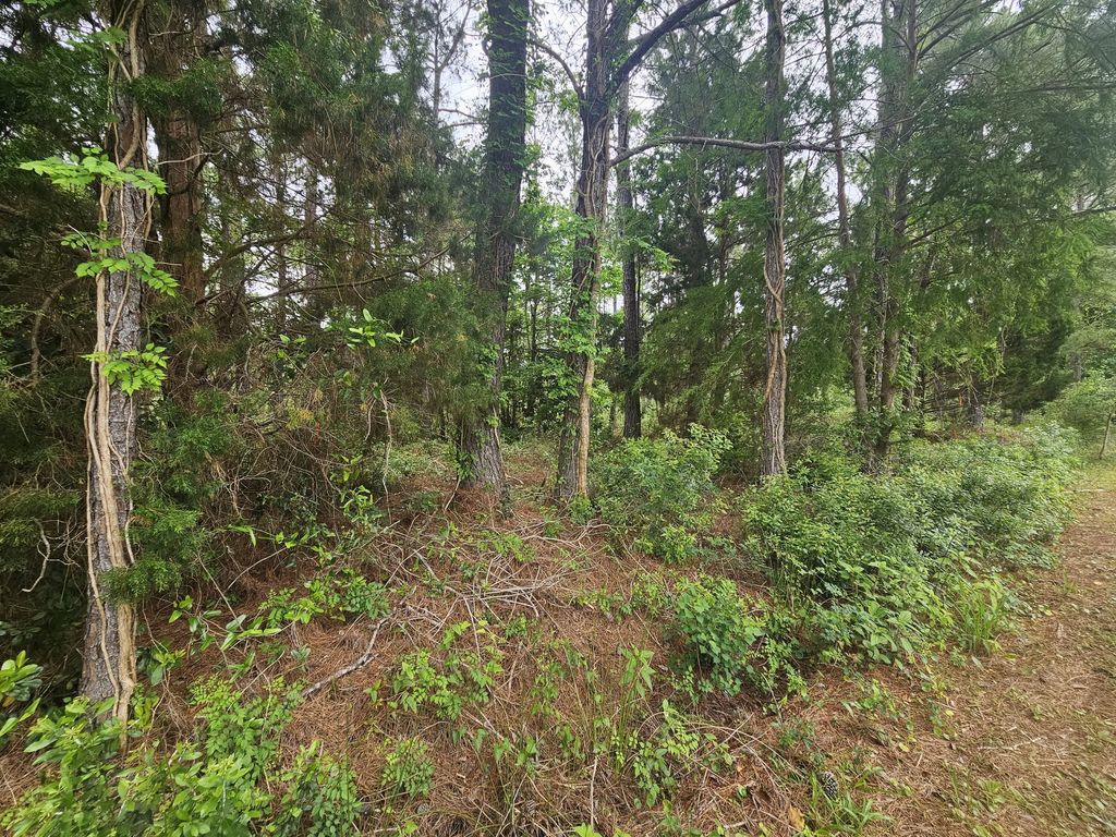 5 of 7 - Lot #2 Dolphin Cove, Freeport, FL