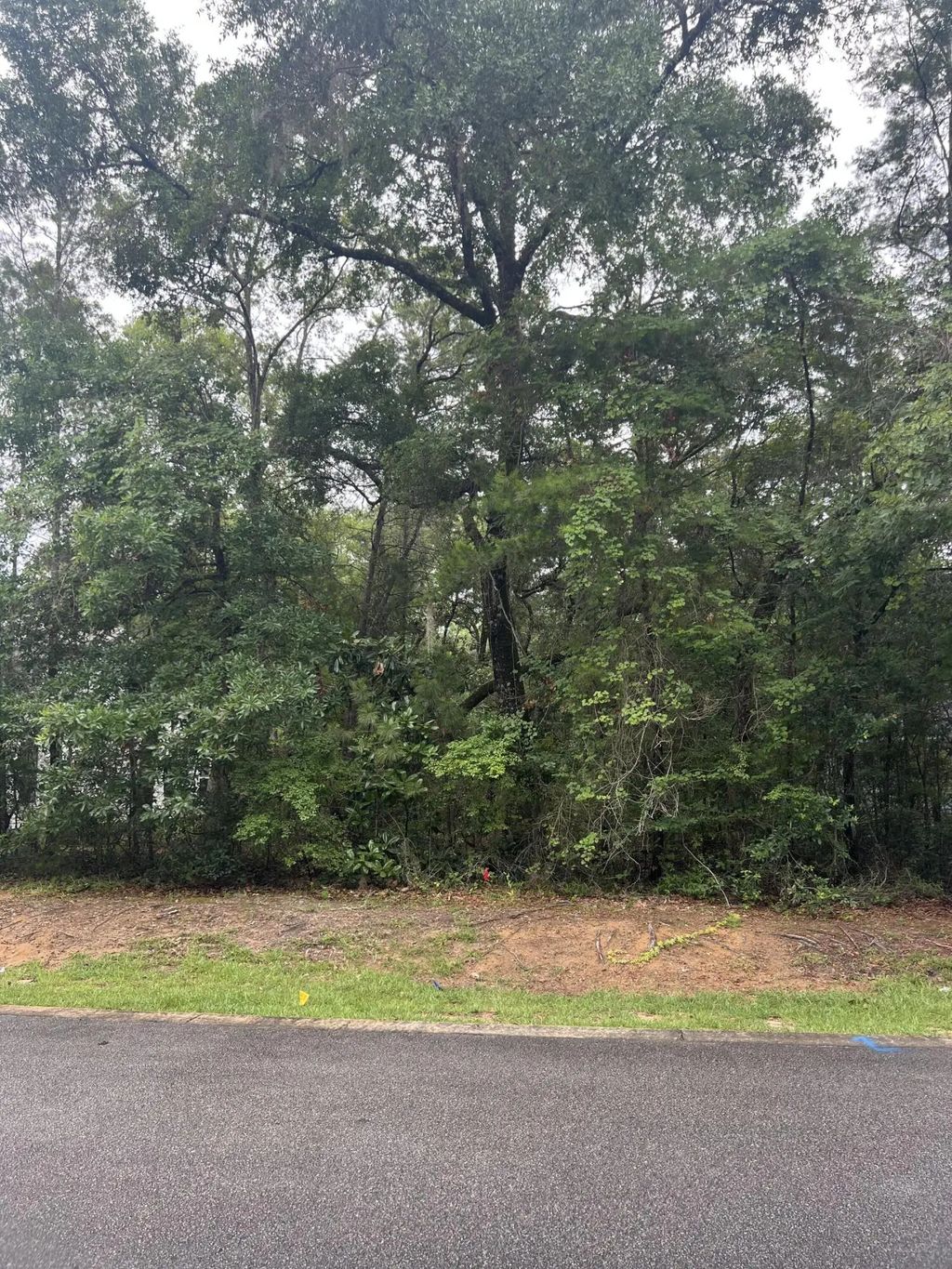 3 of 3 - Lot 72 S J Hunter S Way, Freeport, FL