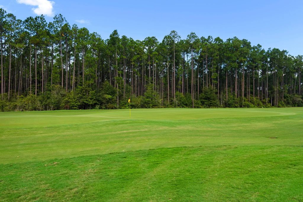 61 of 65 - 64 Hollow Log Lane, Freeport, FL