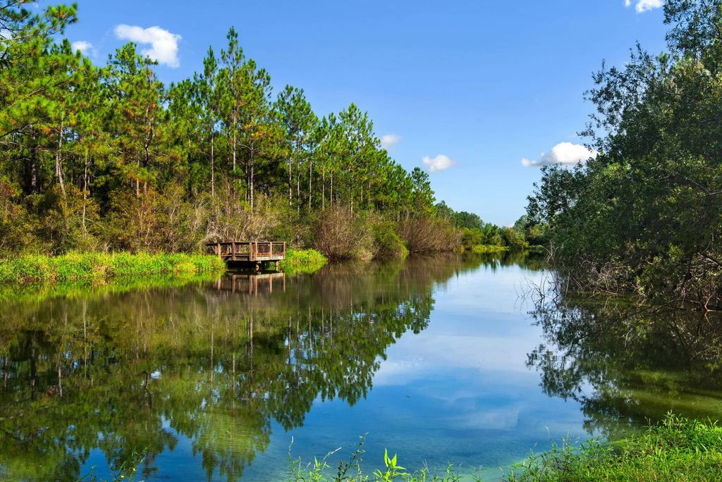 64 of 65 - 64 Hollow Log Lane, Freeport, FL
