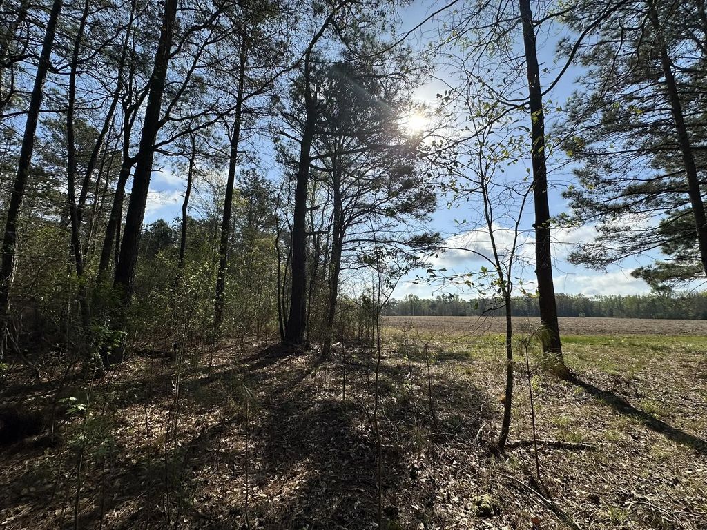 1.1+/- Ac Snider Avenue, Other