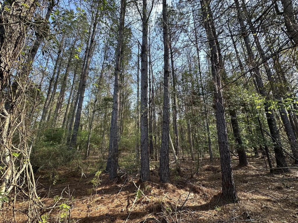 .83+/- Ac Lett Road, Other