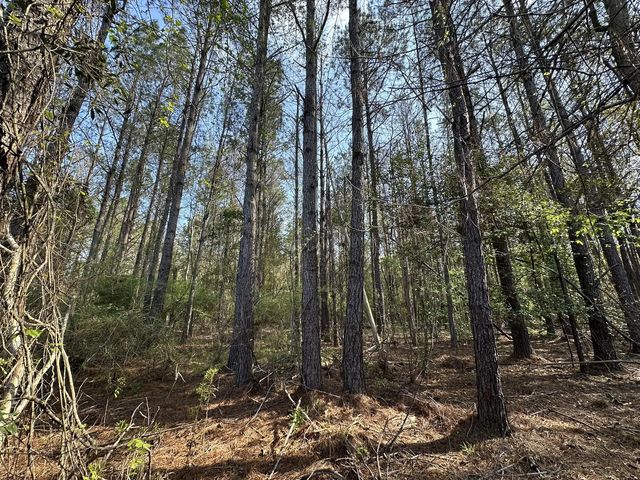 Photo of Listing #1007134