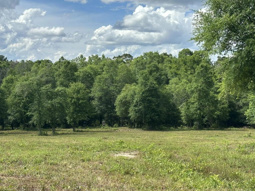 West 58 Ac County Road 20/new Ebenezer Road, Florala