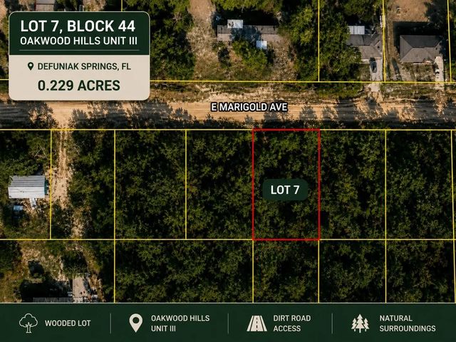 Photo of Listing #1007347