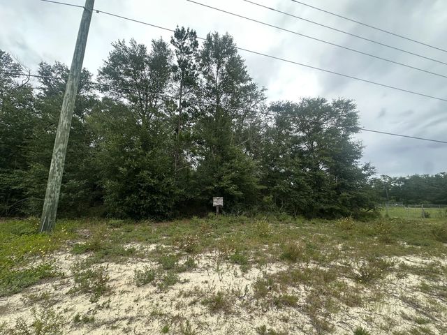 Photo of Listing #1007545