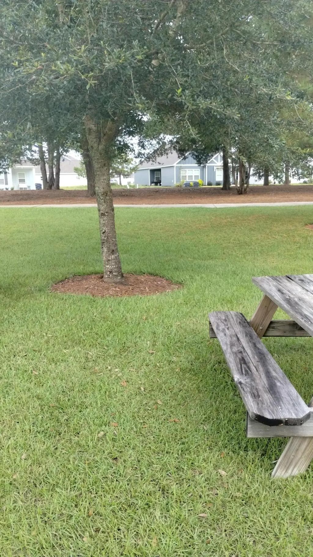 7 of 19 - 00 Parkside Street, Freeport, FL