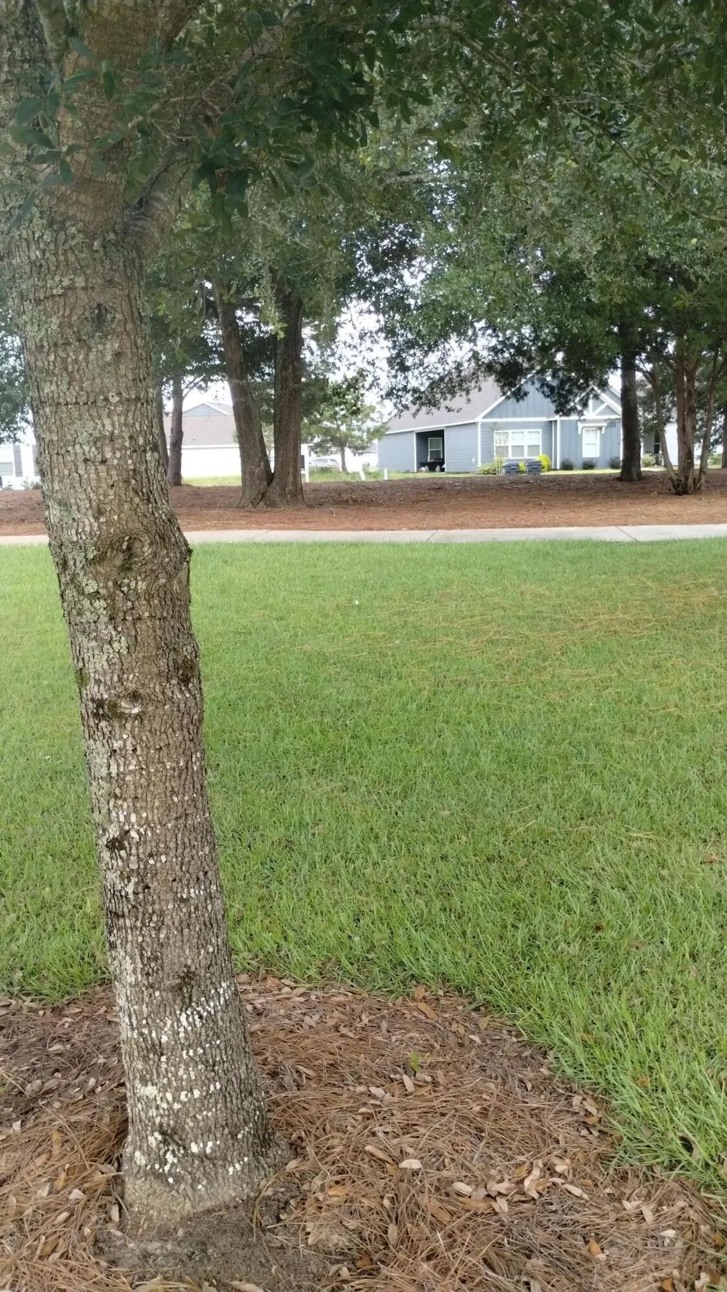 8 of 19 - 00 Parkside Street, Freeport, FL