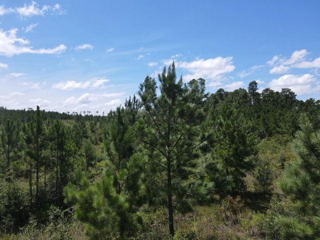 Photo of Listing #1007721
