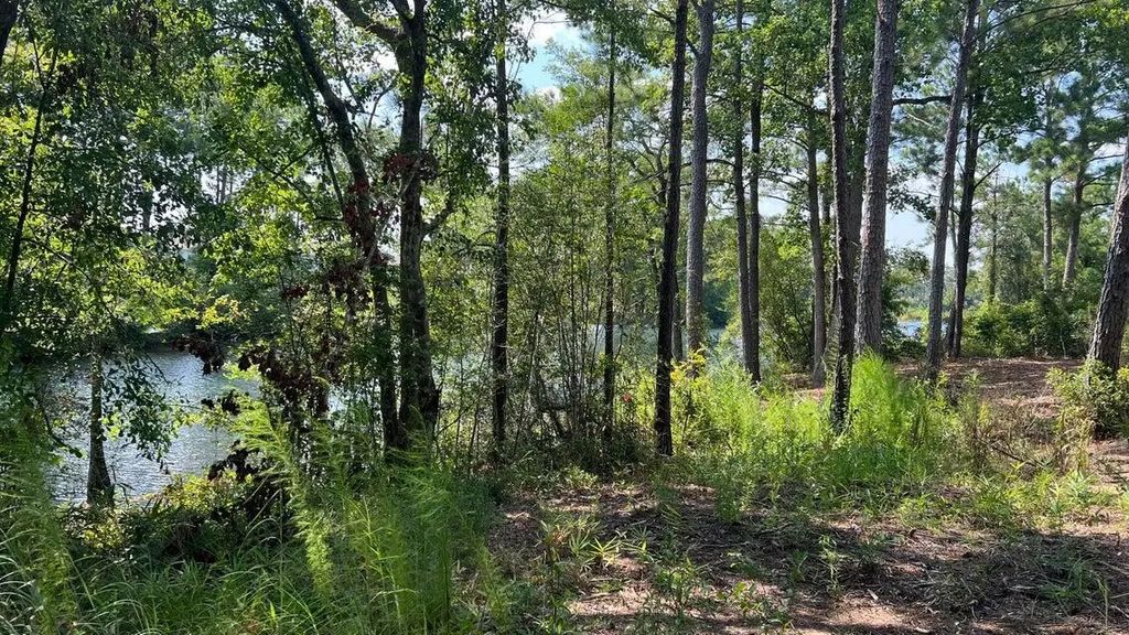 16 of 25 - Tbd Lot 1 S Marsh Landing Tbd (lot 1), Freeport, FL