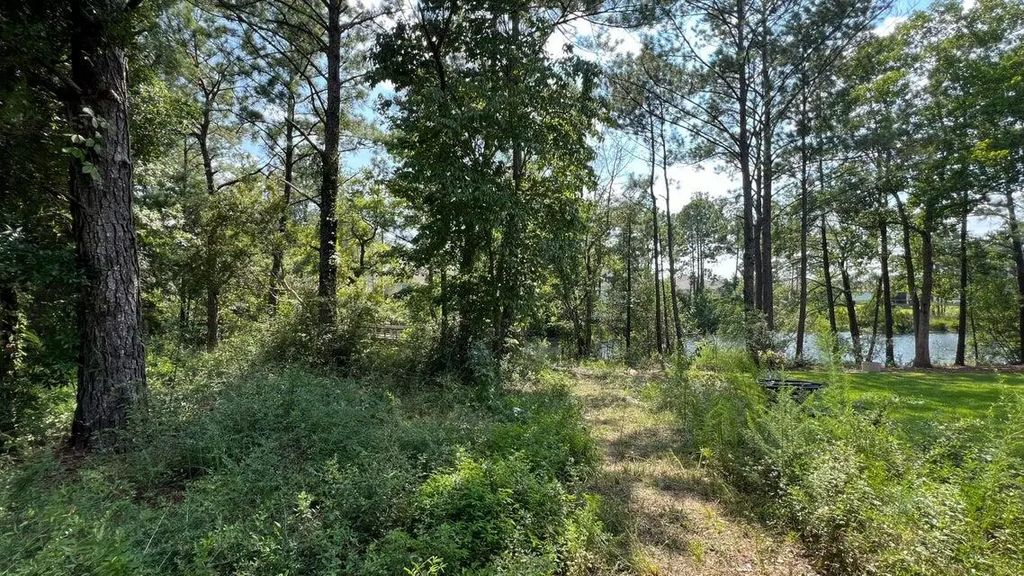 19 of 25 - Tbd Lot 1 S Marsh Landing Tbd (lot 1), Freeport, FL