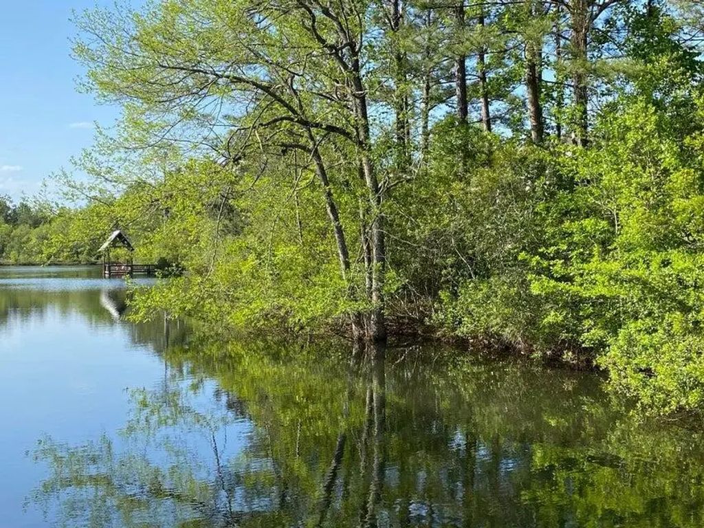 7 of 25 - Tbd Lot 1 S Marsh Landing Tbd (lot 1), Freeport, FL