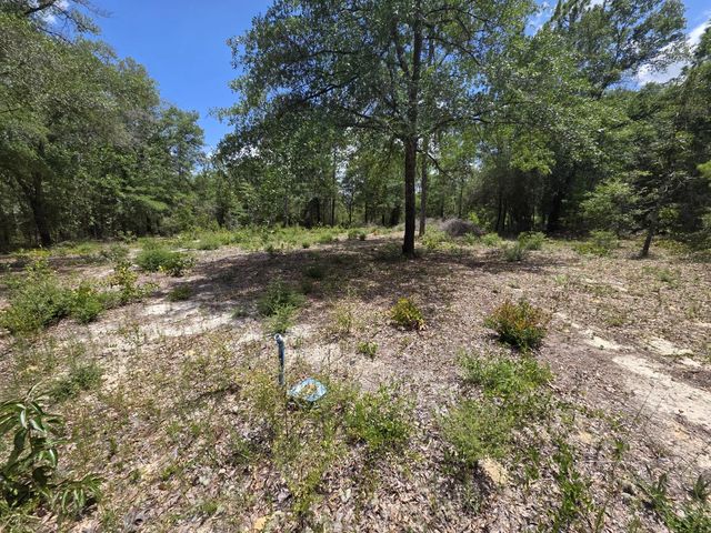 Photo of Listing #1008021