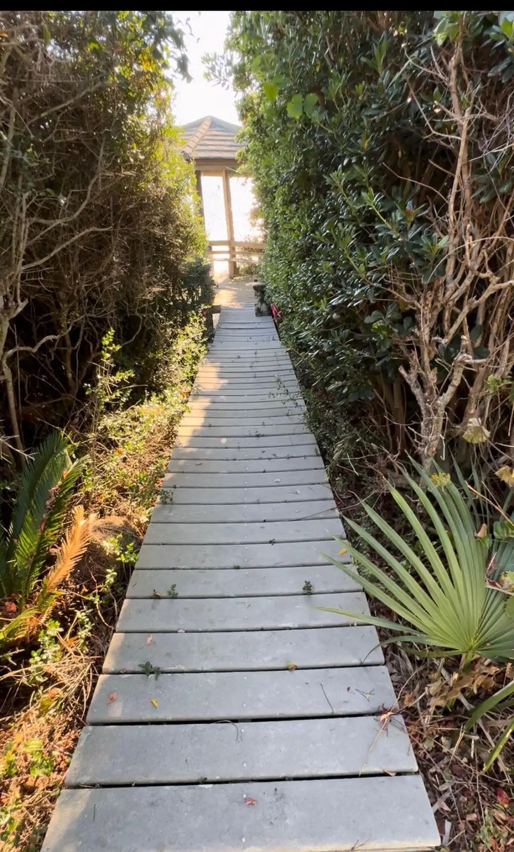 5 of 6 - 240 Montgomery Street, Santa Rosa Beach, FL