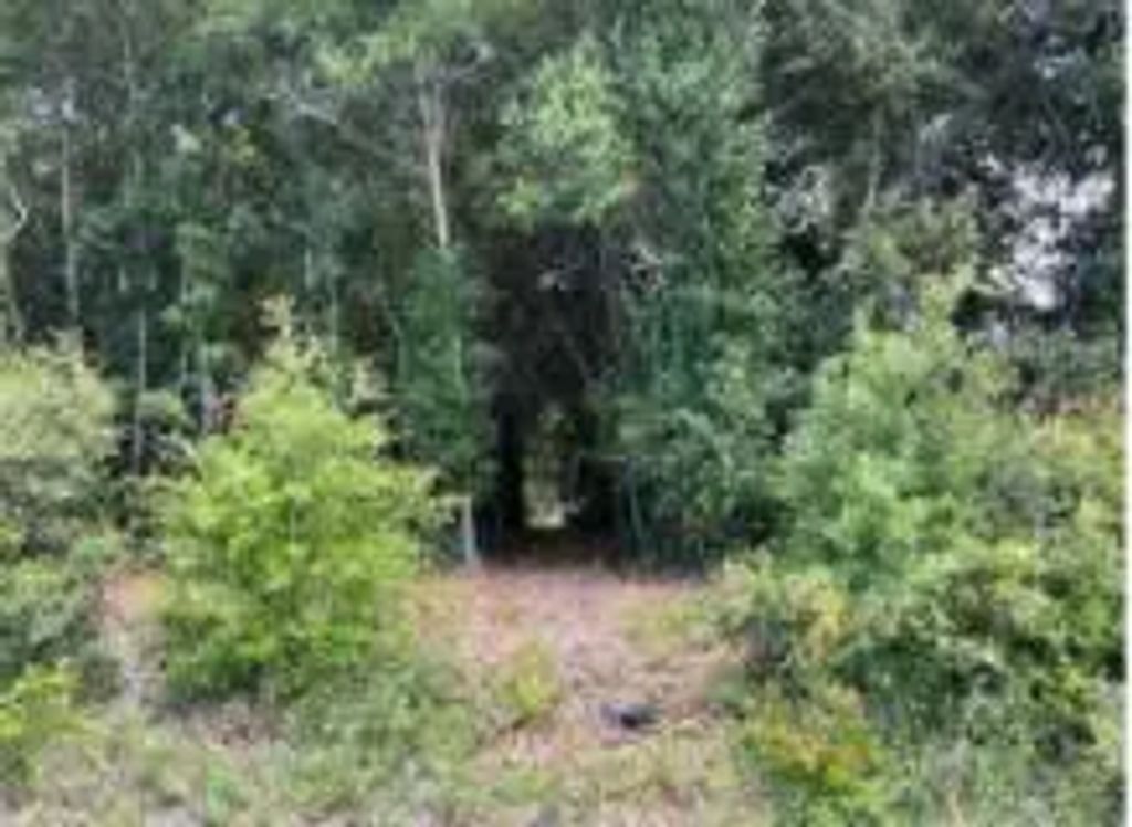 4 of 11 - 702 Live Oak Street, Freeport, FL