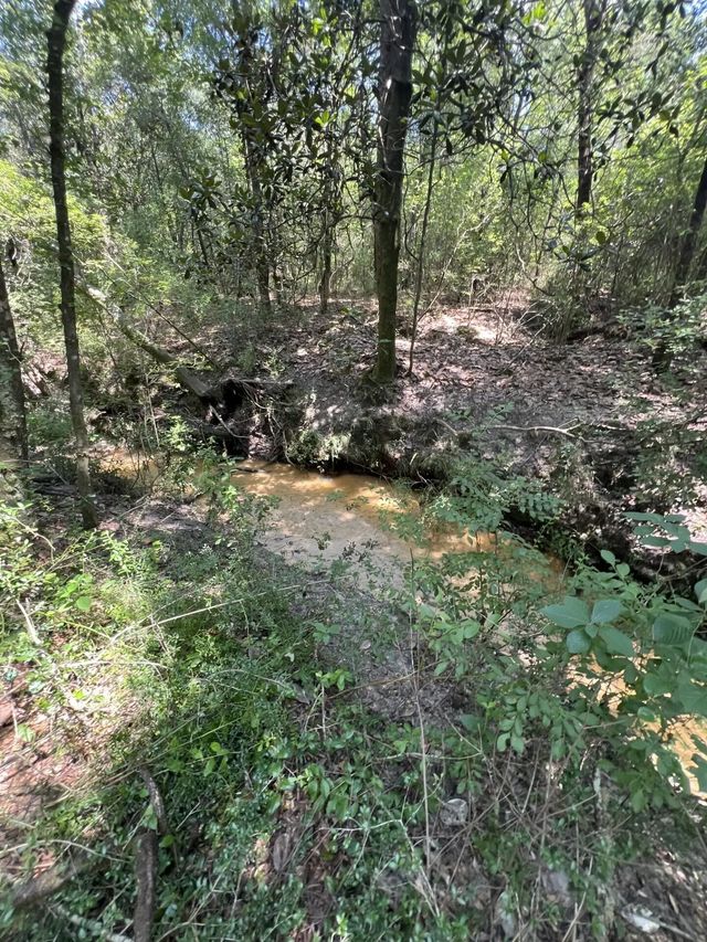 Photo of Listing #1008365