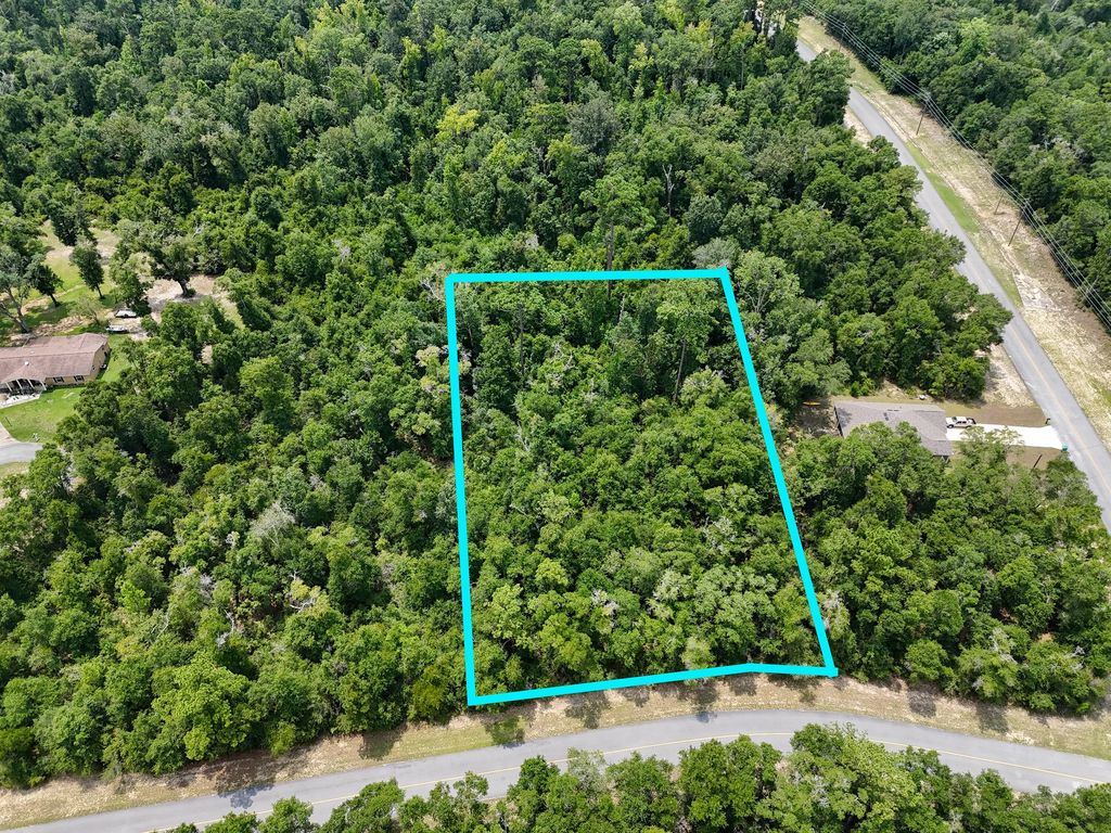 Lot 4 & 5 Dora Lane, Chipley