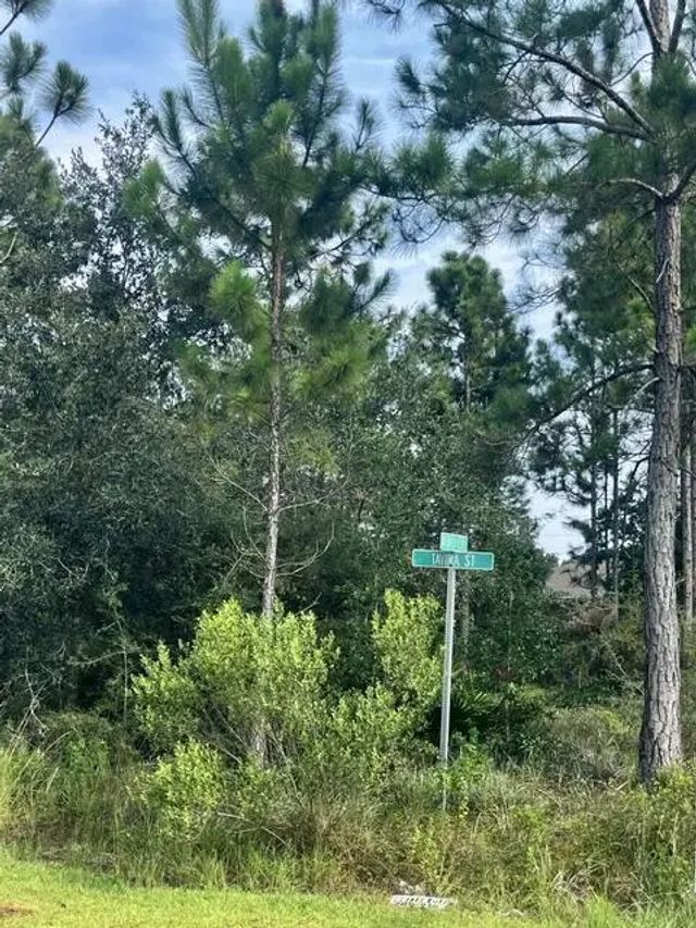 Photo of Listing #1008764