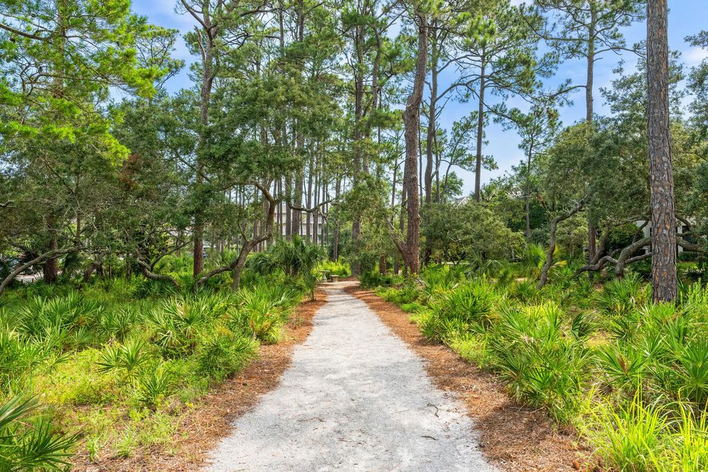 34 of 39 - Tbd S Co Hwy 393 107, Santa Rosa Beach, FL