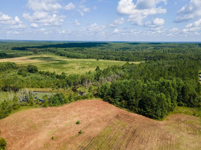 Photo of Listing #1009234